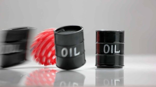 Cultiver ses propres herbes et épices pour économiser